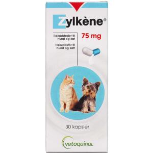 Køb Zylkene kapsler 75 mg 30 stk online hos apotekeren.dk