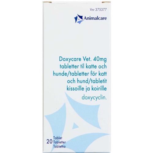 Doxycyclin 200 Mg Für Hunde
