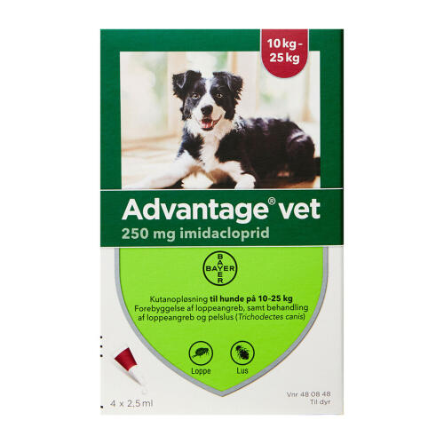 Køb Advantage Vet T/Hund 10-25 kg online hos apotekeren.dk